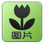 [分类: 图片]